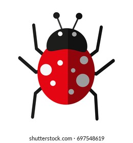 insect icon image