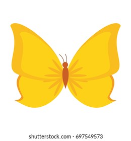 insect icon image