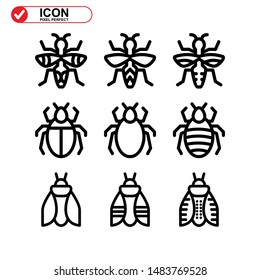 insect icon isolated sign symbol vector illustration. Collection of high quality black style vector icons
