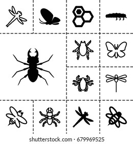 Insect icon. set of 13 filled and outline insect icons such as butterfly, beetle, honey, bee, caterpillar