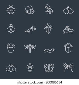 insect icon set