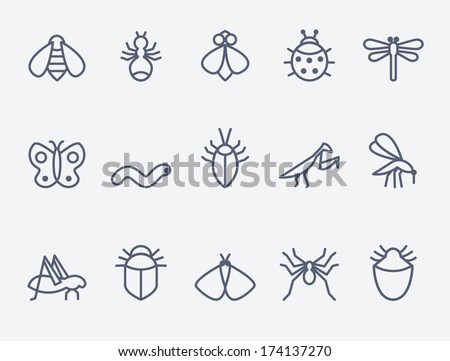 insect icon set