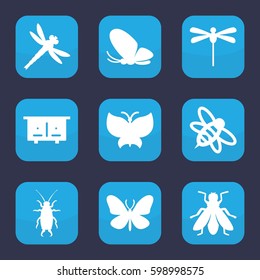 insect icon. Set of 9 filled insect icons such as beehouse, butterfly, beetle, fly, bee