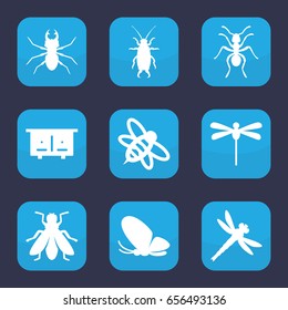 Insect icon. set of 9 filled insect icons such as beehouse, butterfly, ant, beetle, fly, bee