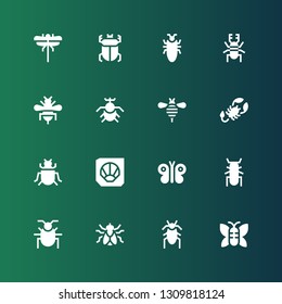 insect icon set. Collection of 16 filled insect icons included Butterfly, Cockroach, Fly, Beetle, Fossil, Insect, Scorpion, Bee, Dragon fly