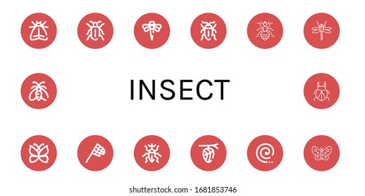 insect icon set. Collection of Moth, Beetle, Dragonfly, Sap beetle, Louse, Butterfly, Butterfly net, Weevil, Cocoon, Mosquito coil icons