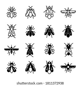 Insect icon set on trendy design
