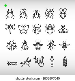 insect icon set in outline style, unique design, expanded stroke, and editable vector with any color or size what you like
