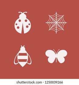 insect icon. insect vector icons set butterfly, ladybug, bee and spider web