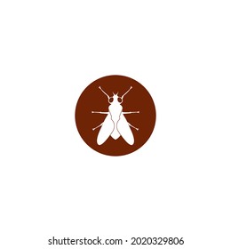 Diseño de símbolos de la ilustración del vector de icono de insectos. Eps 10.