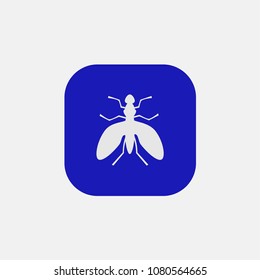 insect icon vector on blue