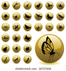 insect icons