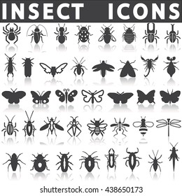 Insect icons