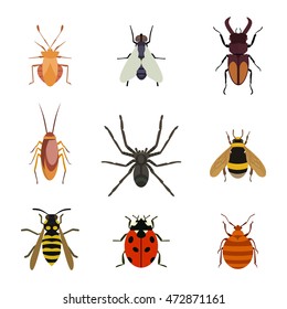 Insect icons flat set isolated on white background