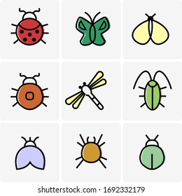 Insect icons. Isolated insect symbols collection. 