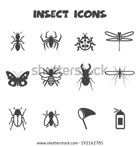 insect icons, mono vector symbols