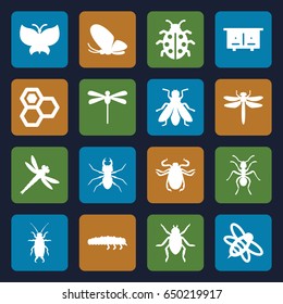 Insect icons set. set of 16 insect filled icons such as beehouse, dragonfly, beetle, butterfly, ant, fly, honey, bee, ladybug