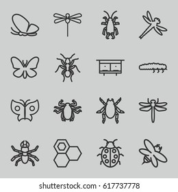 Insect icons set. set of 16 insect outline icons such as dragonfly, beetle, butterfly, ant, beehouse, honey, bee, ladybug