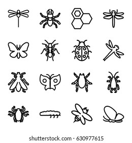 Insect icons set. set of 16 insect outline icons such as dragonfly, beetle, butterfly, ant, fly, honey, bee, ladybug