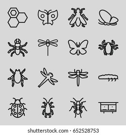 Insect icons set. set of 16 insect outline icons such as dragonfly, beetle, butterfly, ant, fly, beehouse, honey, ladybug