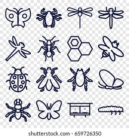 Insect icons set. set of 16 insect outline icons such as dragonfly, beetle, butterfly, ant, fly, beehouse, honey, bee, ladybug