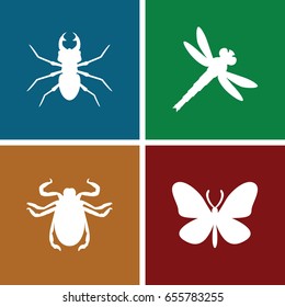 Insect icons set. set of 4 insect filled icons such as butterfly, beetle