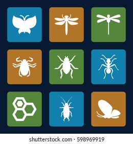 insect icons set. Set of 9 insect filled icons such as dragonfly, beetle, butterfly, and ant. 