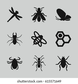Insect icons set. set of 9 insect filled icons such as beetle, butterfly, ant, fly, honey, bee
