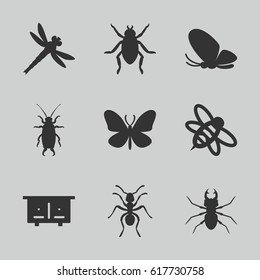 Insect icons set. set of 9 insect filled icons such as beehouse, beetle, butterfly, ant, bee