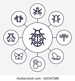 Insect icons set. set of 9 insect outline icons such as dragonfly, beetle, butterfly, fly, honey