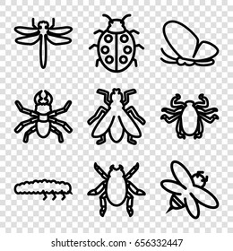 Insect icons set. set of 9 insect outline icons such as dragonfly, beetle, butterfly, fly, bee, ladybug