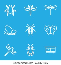 Insect icons set. set of 9 insect outline icons such as dragonfly, beetle, butterfly, ant