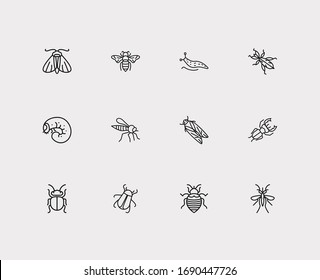 Insect Icons Set. Bee And Insect Icons With Cicada, Slug And Bedbug. Set Of Stinging For Web App Logo UI Design.