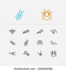 Insect icons set. Bee and insect icons with earwig, mantis and swallow caterpillar. Set of pernicious for web app logo UI design.