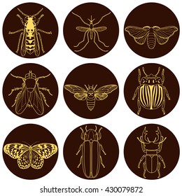 insect icons set. Cicada and stag beetle, firefly and wasp, fly and paperkite butterfly, colorado beetle and mosquito, vector illustration