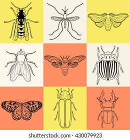 insect icons set. Cicada and stag beetle, firefly and wasp, fly and paperkite butterfly, colorado beetle and mosquito, vector illustration