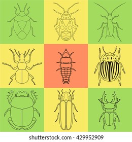 insect icons set. dor-beetle and firefly, firebug and ant, fly and cockroach, colorado beetle and mosquito, stink bug and trilobite. vector illustration