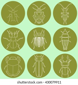 insect icons set. dor-beetle and firefly, firebug and ant, fly and cockroach, colorado beetle and mosquito, stink bug and trilobite. vector illustration