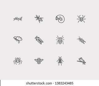 Insect icons set. Dragonfly and insect icons with aphid, tiger beetle and flea. Set of arachnophobia for web app logo UI design.