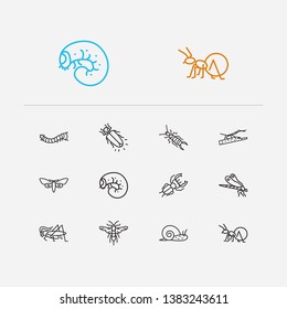 Insect icons set. Dragonfly and insect icons with stag beetle, snail and honey ant. Set of life for web app logo UI design.