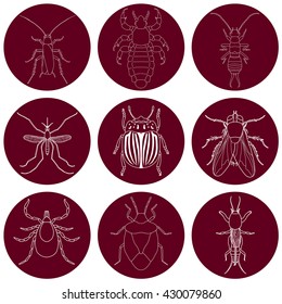 insect icons set. Earwig and tick, stink bug and cricket, fly and louse, colorado beetle and mosquito, vector illustration