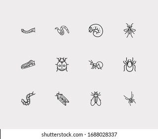Insect icons set. Mosquito and insect icons with pest, black widow spider and fly. Set of warning for web app logo UI design.