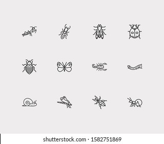 Insect icons set. Termite and insect icons with cabbage butterfly, bedbug and fat tailed scorpion. Set of locust for web app logo UI design.