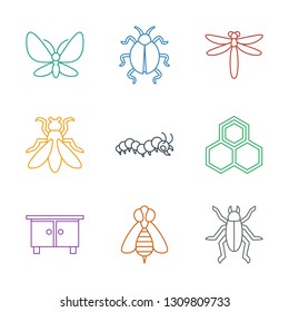 insect icons. Trendy 9 insect icons. Contain icons such as beetle, bee, beehouse, honey, caterpillar, fly, dragonfly, ladybug, butterfly. insect icon for web and mobile.