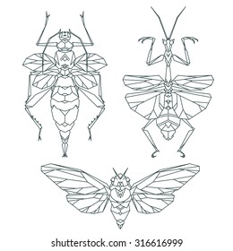 Insect icons, vector set. Abstract triangular style. Mantis, moth, beetle