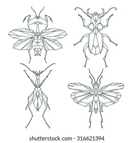 Insect icons, vector set. Abstract triangular style. mantis, grasshopper, ant, weevil beetle