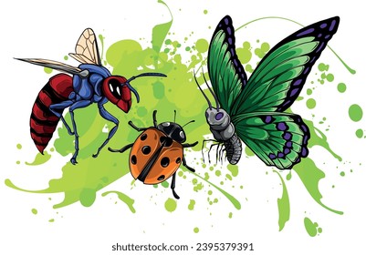 Insect illustration, drawing, engraving ink line art