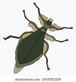 Insect illustration, drawing, engraving, ink, line art, vector. Beetle close-up.