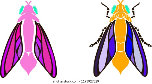 insect illustration. graphic image of a fly on a white background