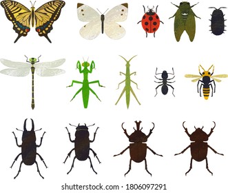 Insect illustration set material / analog style